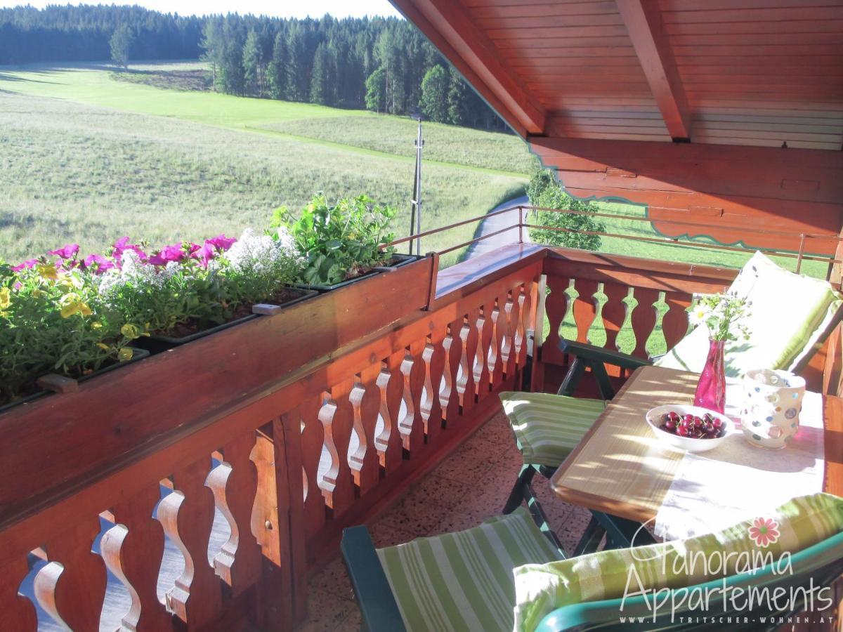 Panorama Appartement Ramsau am Dachstein Extérieur photo